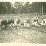 Prace w lesie, rozsada drzewek. Gostyń, ok. 1946 r. Prace w lesie