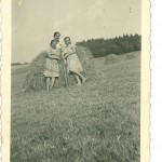 Zagrabianie siana. Gostyń. Zagrabianie siana.
